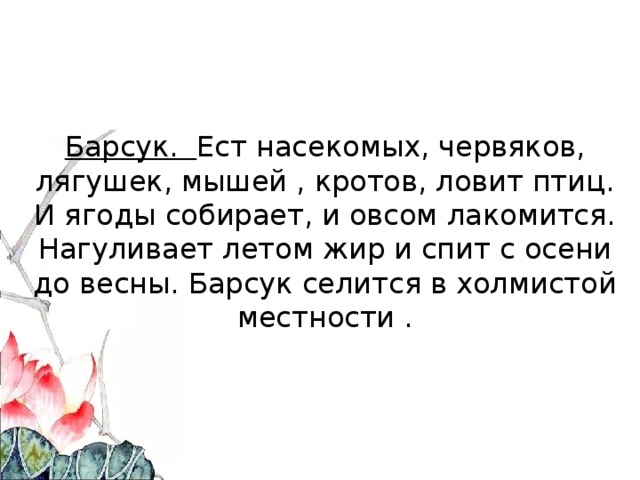 Барсук. Ест насекомых, червяков, лягушек, мышей , кротов, ловит птиц. И ягоды собирает, и овсом лакомится. Нагуливает летом жир и спит с осени до весны. Барсук селится в холмистой местности .   