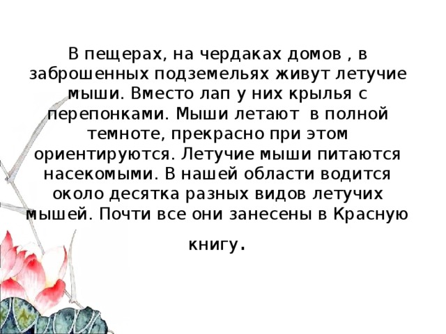 В пещерах, на чердаках домов , в заброшенных подземельях живут летучие мыши. Вместо лап у них крылья с перепонками. Мыши летают в полной темноте, прекрасно при этом ориентируются. Летучие мыши питаются насекомыми. В нашей области водится около десятка разных видов летучих мышей. Почти все они занесены в Красную книгу .   