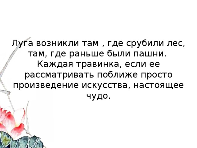 Луга возникли там , где срубили лес, там, где раньше были пашни.  Каждая травинка, если ее рассматривать поближе просто произведение искусства, настоящее чудо.   