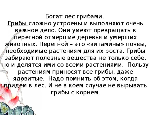 Богат лес грибами.  Грибы сложно устроены и выполняют очень важное дело. Они умеют превращать в перегной отмершие деревья и умерших животных. Перегной – это «витамины» почвы, необходимые растениям для их роста. Грибы забирают полезные вещества не только себе, но и делятся ими со всеми растениями. Пользу растениям приносят все грибы, даже ядовитые. Надо помнить об этом, когда придем в лес. И не в коем случае не вырывать грибы с корнем.   