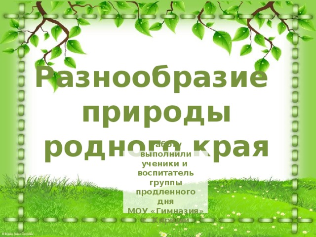 Проект разнообразие природы родного края проект