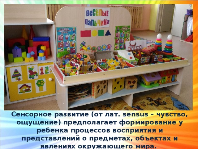 Сенсорное развитие (от лат. sensus – чувство, ощущение) предполагает формирование у ребенка процессов восприятия и представлений о предметах, объектах и явлениях окружающего мира.  