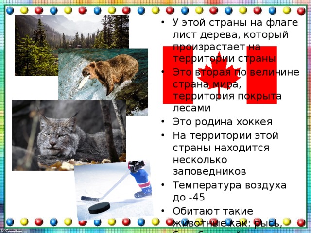 У этой страны на флаге лист дерева, который произрастает на территории страны Это вторая по величине страна мира, территория покрыта лесами Это родина хоккея На территории этой страны находится несколько заповедников Температура воздуха до -45 Обитают такие животные как: рысь, барибал, койот, волк, бизон, арктический и лесной карибу, вилорогая антилопа Столица страны Оттава 