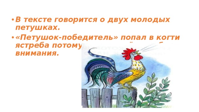 О чем говорится в тексте. Петушок победитель. Ушинский подрались два петушка. Ушинский два молодых петушка. Заголовок два молодых петушка.