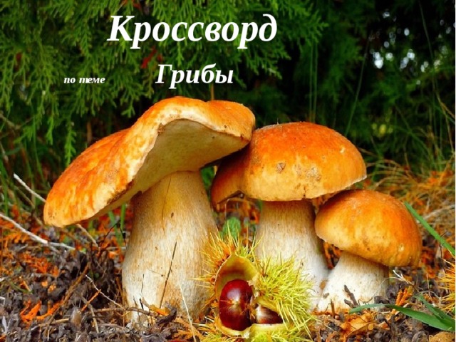 Кроссворд по теме  Грибы 
