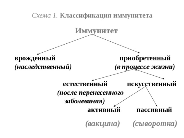 Классификация видов и форм иммунитета схема