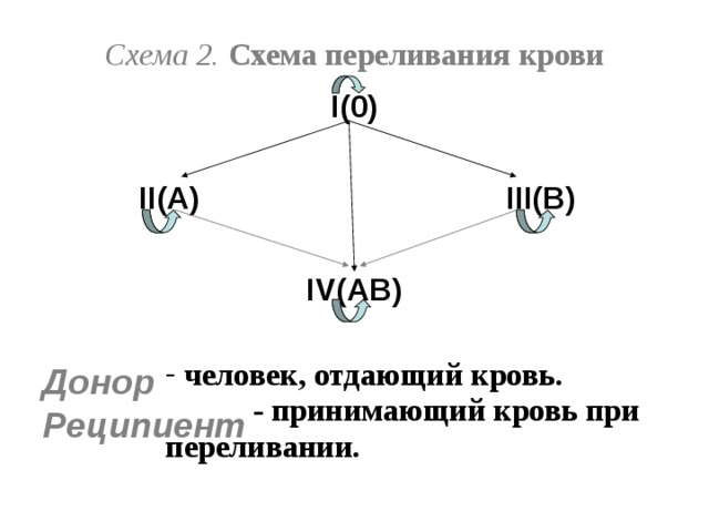 Схема переливания крови биология 8 класс биология