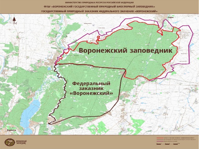 Поквартальная карта воронежского заповедника