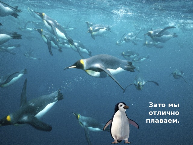 Зато мы отлично плаваем. 