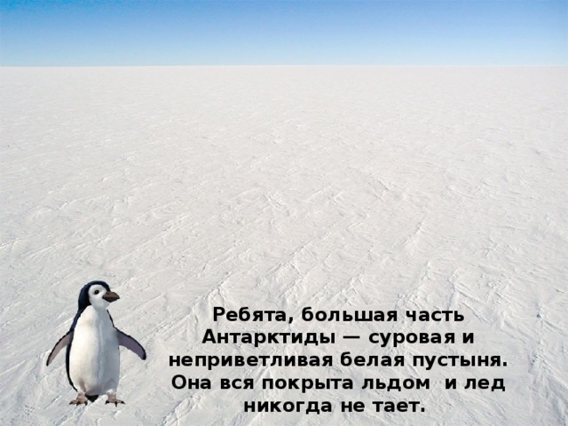 Ребята, большая часть Антарктиды — суровая и неприветливая белая пустыня. Она вся покрыта льдом и лед никогда не тает. 