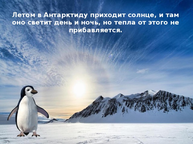 Летом в Антарктиду приходит солнце, и там оно светит день и ночь, но тепла от этого не прибавляется. 