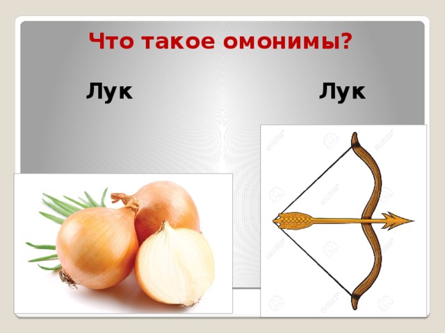 Что такое омонимы?   Лук Лук 