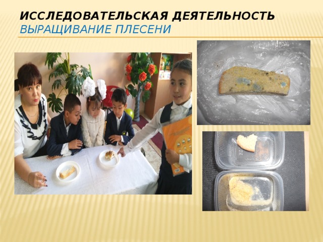 Чего боятся микробы 2 класс естествознание. Смотреть фото Чего боятся микробы 2 класс естествознание. Смотреть картинку Чего боятся микробы 2 класс естествознание. Картинка про Чего боятся микробы 2 класс естествознание. Фото Чего боятся микробы 2 класс естествознание