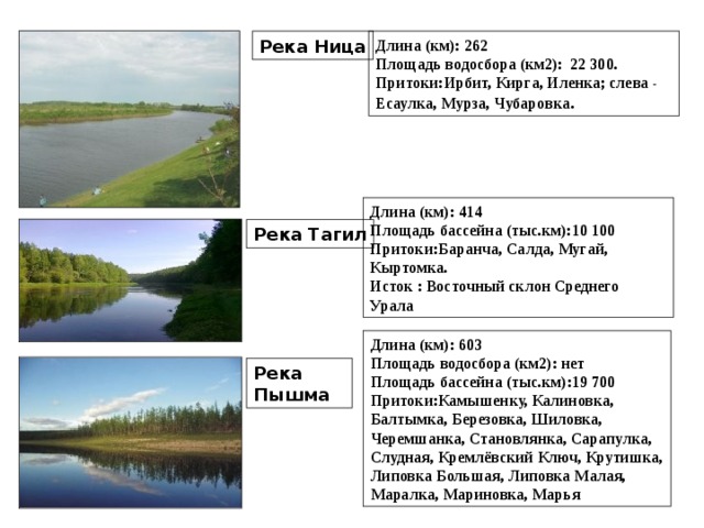 Какие реки есть в свердловской области. Реки Свердловской области 4 класс. Самая крупная река Свердловской области. Реки и озера Свердловской области. Притоки реки Пышма.