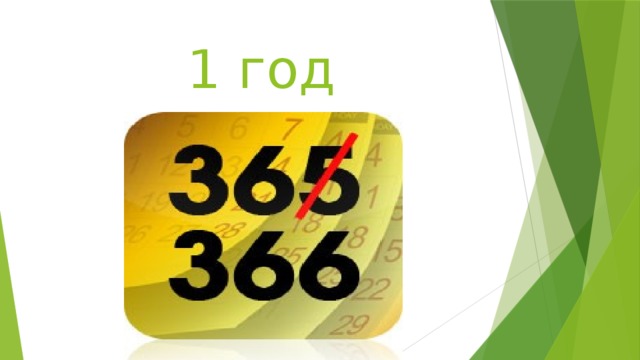1 год 