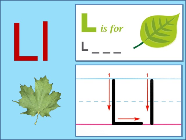 Ll  