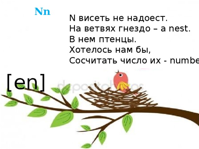 Nn N висеть не надоест. На ветвях гнездо – a nest. В нем птенцы. Хотелось нам бы, Сосчитать число их - number [en] 