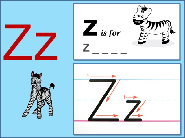 Zz 