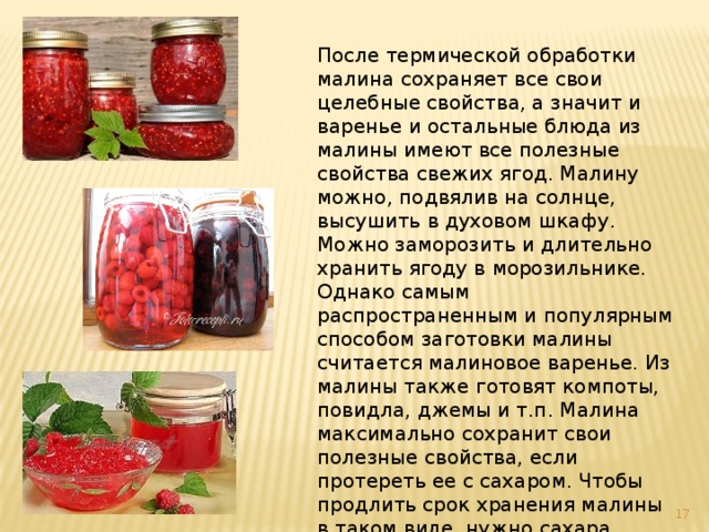 Проект про малина 3 класс. img16. Проект про малина 3 класс фото. Проект про малина 3 класс-img16. картинка Проект про малина 3 класс. картинка img16. Проектная работа о пользе малины.Какие блюда можно приготовить из малины.
