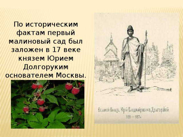 Проект про малина 3 класс. img5. Проект про малина 3 класс фото. Проект про малина 3 класс-img5. картинка Проект про малина 3 класс. картинка img5. Проектная работа о пользе малины.Какие блюда можно приготовить из малины.