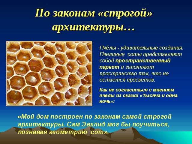 По законам «строгой» архитектуры… Пчёлы - удивительные создания. Пчелиные соты представляют собой пространственный паркет и заполняют пространство так, что не остается просветов.  Как не согласиться с мнением пчелы из сказки «Тысяча и одна ночь»: «Мой дом построен по законам самой строгой архитектуры. Сам Эвклид мог бы поучиться, познавая геометрию сот».   