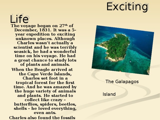  Exciting Life  The voyage began on 27 th of December, 1831. It was a 5-year expedition to exciting unknown places. Although Charles wasn’t actually a scientist and he was terribly seasick, he had a wonderful time on his voyage. He had a great chance to study lots of plants and animals. When the Beagle arrived at the Cape Verde Islands, Charles set foot in a tropical forest for the first time. And he was amazed by the huge variety of animals and plants. He started to collect like crazy – butterflies, spiders, beetles, shells – he loved everything, even ants. Charles also found the fossils of a rodent the size of an elephant and a horse – like creature.   The Galapagos Island  