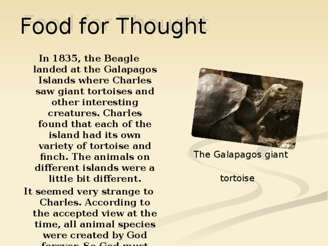 Food for Thought  In 1835, the Beagle landed at the Galapagos Islands where Charles saw giant tortoises and other interesting creatures. Charles found that each of the island had its own variety of tortoise and finch. The animals on different islands were a little bit different. It seemed very strange to Charles. According to the accepted view at the time, all animal species were created by God forever. So God must have designed slightly different animals for each island… The Galapagos giant tortoise  