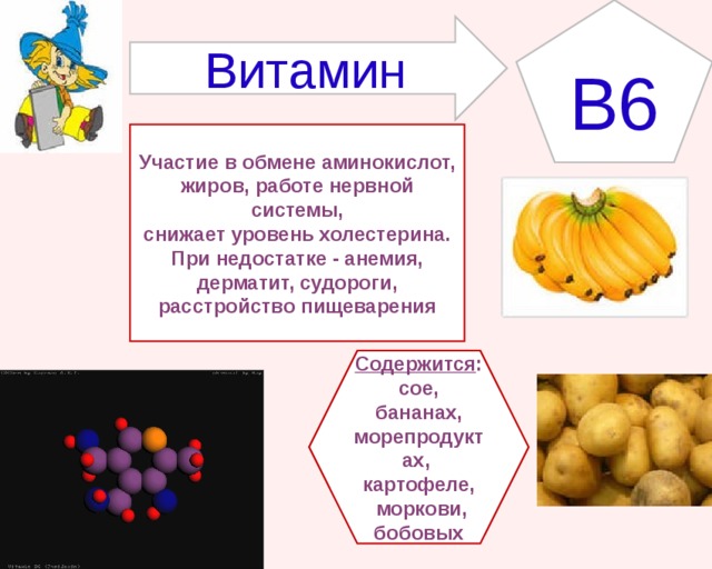 B6 Витамин Участие в обмене аминокислот, жиров, работе нервной системы, снижает уровень холестерина. При недостатке - анемия, дерматит, судороги, расстройство пищеварения Содержится : сое, бананах, морепродуктах, картофеле,  моркови, бобовых 