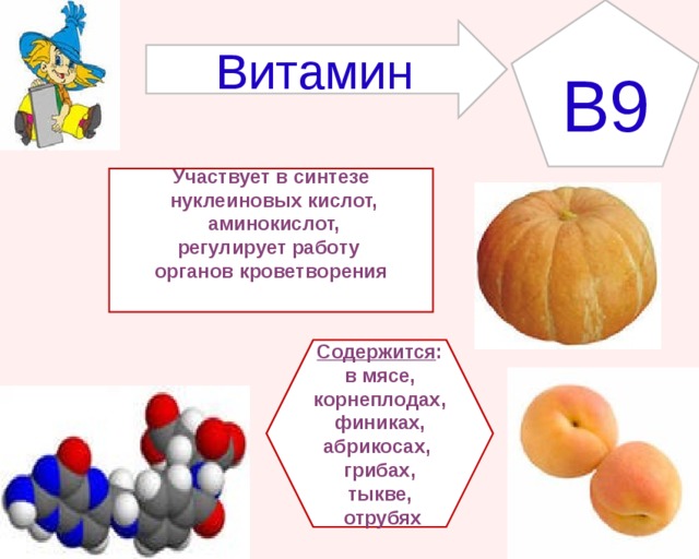 B9 Витамин Участвует в синтезе  нуклеиновых кислот,  аминокислот, регулирует работу органов кроветворения   Содержится : в мясе, корнеплодах, финиках, абрикосах, грибах, тыкве,  отрубях 
