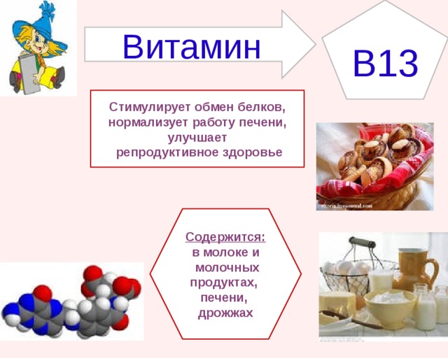 B 13 Витамин Стимулирует обмен белков,  нормализует работу печени, улучшает  репродуктивное здоровье Содержится: в молоке и  молочных продуктах, печени, дрожжах 