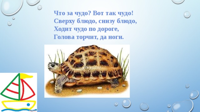 Что за чудо? Вот так чудо! Сверху блюдо, снизу блюдо, Ходит чудо по дороге, Голова торчит, да ноги. 