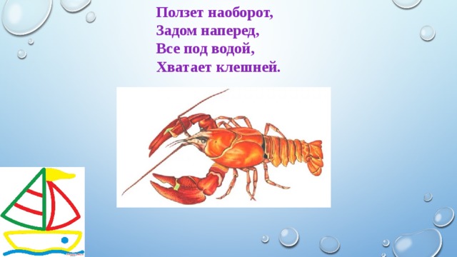 Ползет наоборот, Задом наперед, Все под водой, Хватает клешней. 