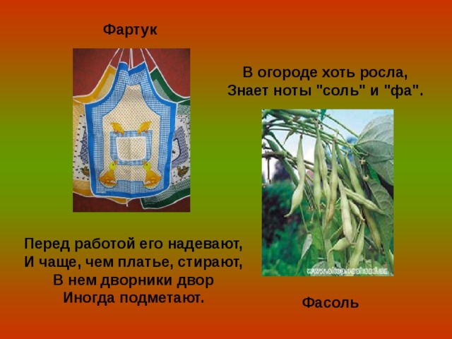 Фартук В огороде хоть росла, Знает ноты 
