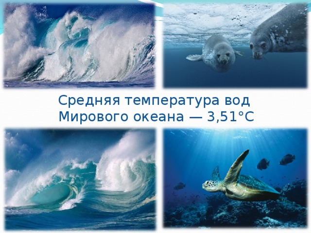 Средняя температура вод Мирового океана — 3,51°С 