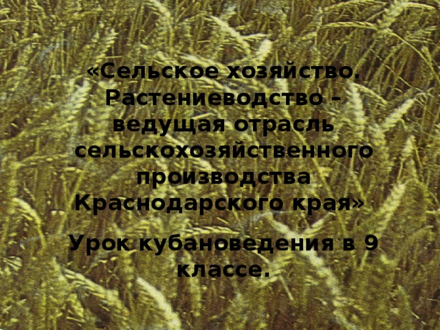 «Сельское хозяйство. Растениеводство – ведущая отрасль сельскохозяйственного производства Краснодарского края» Урок кубановедения в 9 классе. 