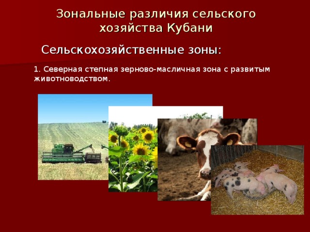 Зональные различия сельского хозяйства Кубани Сельскохозяйственные зоны: 1. Северная степная зерново-масличная зона с развитым животноводством.  