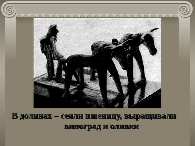 В долинах – сеяли пшеницу, выращивали виноград и оливки