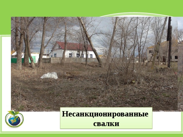 Несанкционированные свалки 