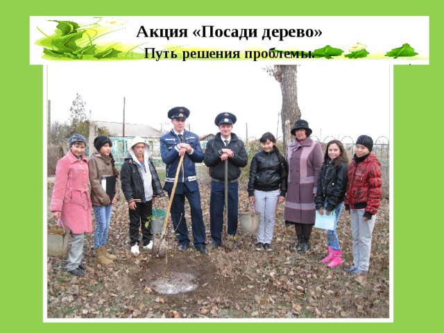 Акция «Посади дерево»  Путь решения проблемы. 