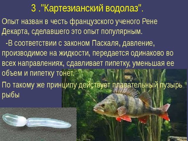 Картезианский водолаз презентация