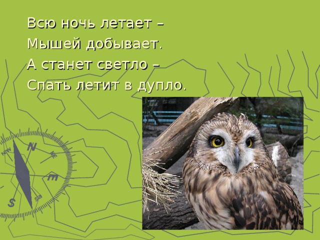 Всю ночь летает – Мышей добывает. А станет светло – Спать летит в дупло. 
