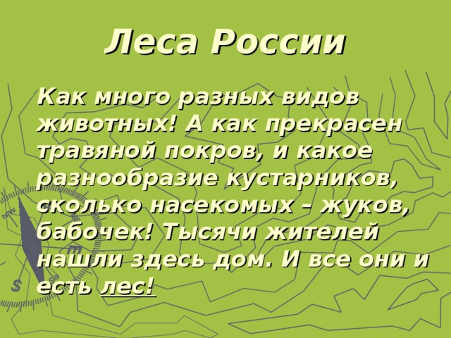 Леса России Как много разных видов животных! А как прекрасен травяной покров, и какое разнообразие кустарников, сколько насекомых – жуков, бабочек! Тысячи жителей нашли здесь дом. И все они и есть лес! 