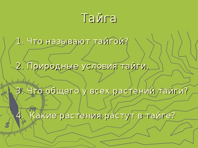 1. Что называют тайгой?  2. Природные условия тайги.  3. Что общего у всех растений тайги?  4. Какие растения растут в тайге? 
