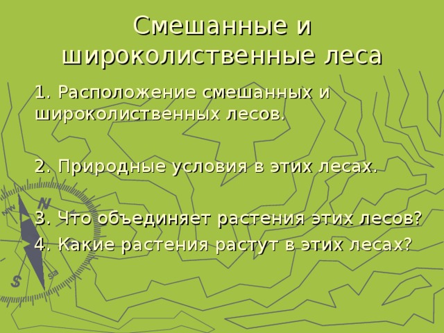 Смешанные и широколиственные леса 1. Расположение смешанных и широколиственных лесов.  2. Природные условия в этих лесах.  3. Что объединяет растения этих лесов? 4. Какие растения растут в этих лесах? 