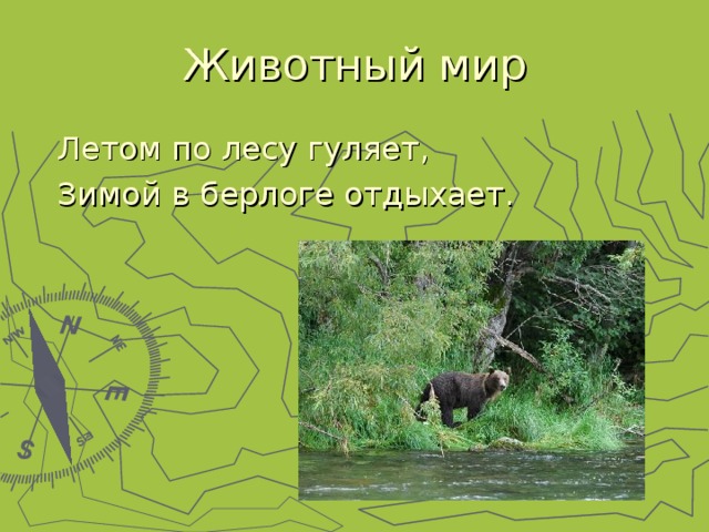 Летом по лесу гуляет, Зимой в берлоге отдыхает. 