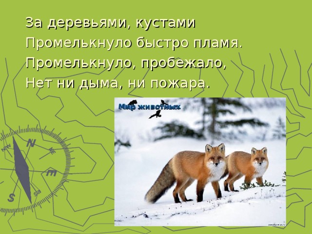За деревьями, кустами Промелькнуло быстро пламя. Промелькнуло, пробежало, Нет ни дыма, ни пожара. 