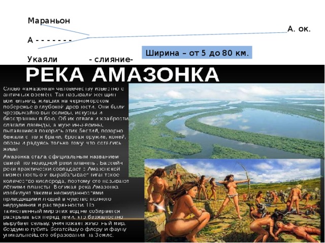Мараньон  А - - - - - - - Укаяли - слияние- А. ок. Ширина – от 5 до 80 км. 
