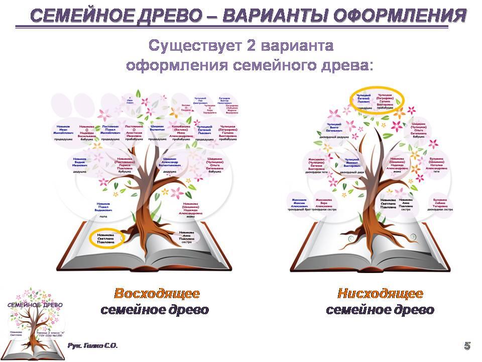 Проект по однкнр 5 класс моя родословная