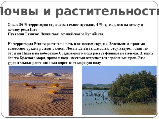 Почвы и растительность Около 96 % территории страны занимают пустыни, 4 % приходится на дельту и долину реки Нил  Пустыни Египта:  Ливийская, Аравийская и Нубийская. На территории Египта растительность в основном скудная. Зелеными островами возникают среди пустынь оазисы. Леса в Египте полностью отсутствуют, лишь по берегам Нила и на побережье Средиземного моря растут финиковые пальмы. А вдоль берега Красного моря, прямо в воде, местами встречаются заросли мангров. Эти удивительные растения сами опресняют морскую воду. 