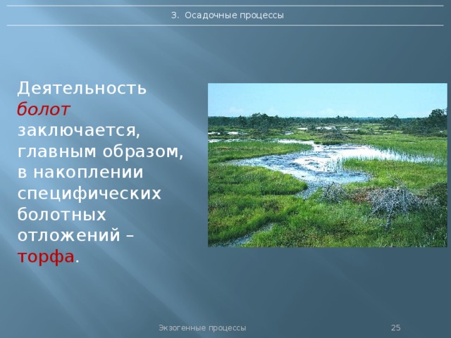 3. Осадочные процессы Деятельность болот  заключается, главным образом, в накоплении специфических болотных отложений – торфа . Экзогенные процессы 24 